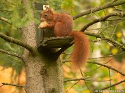 JGS-20201025-PA250319-Verbeterd-NR