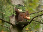 JGS-20201025-PA250365-Verbeterd-NR