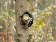 JGS-20201206-PC060406-Verbeterd-NR