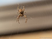 JGS-20220929-P9290203